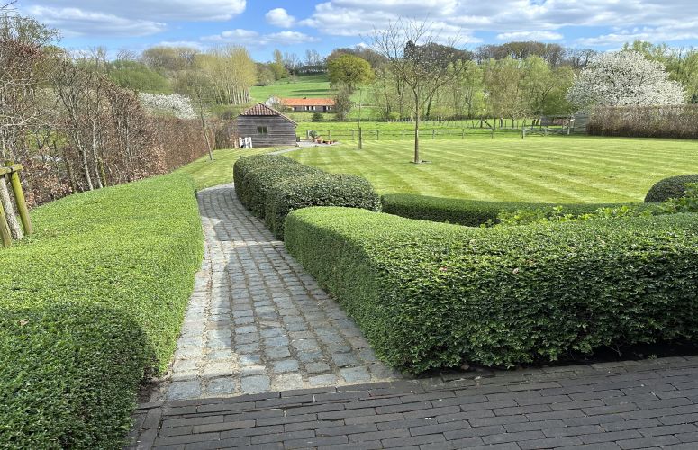onderhoud  snoei gardenart.jpg